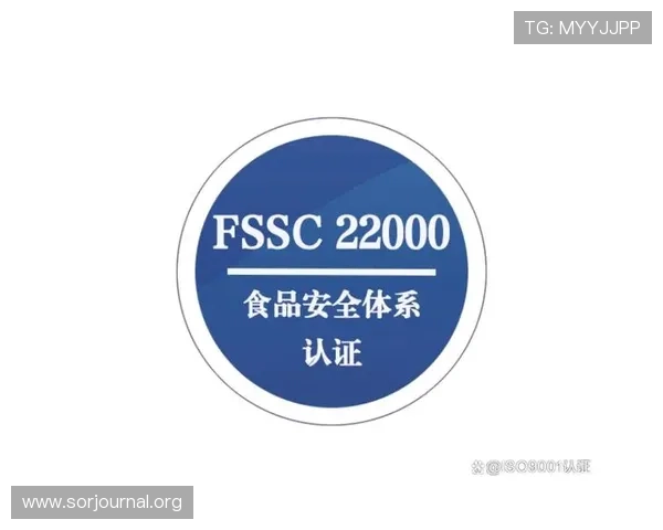 凯发线上登录入口全面介绍，助你轻松掌握登录流程与账号安全保障措施